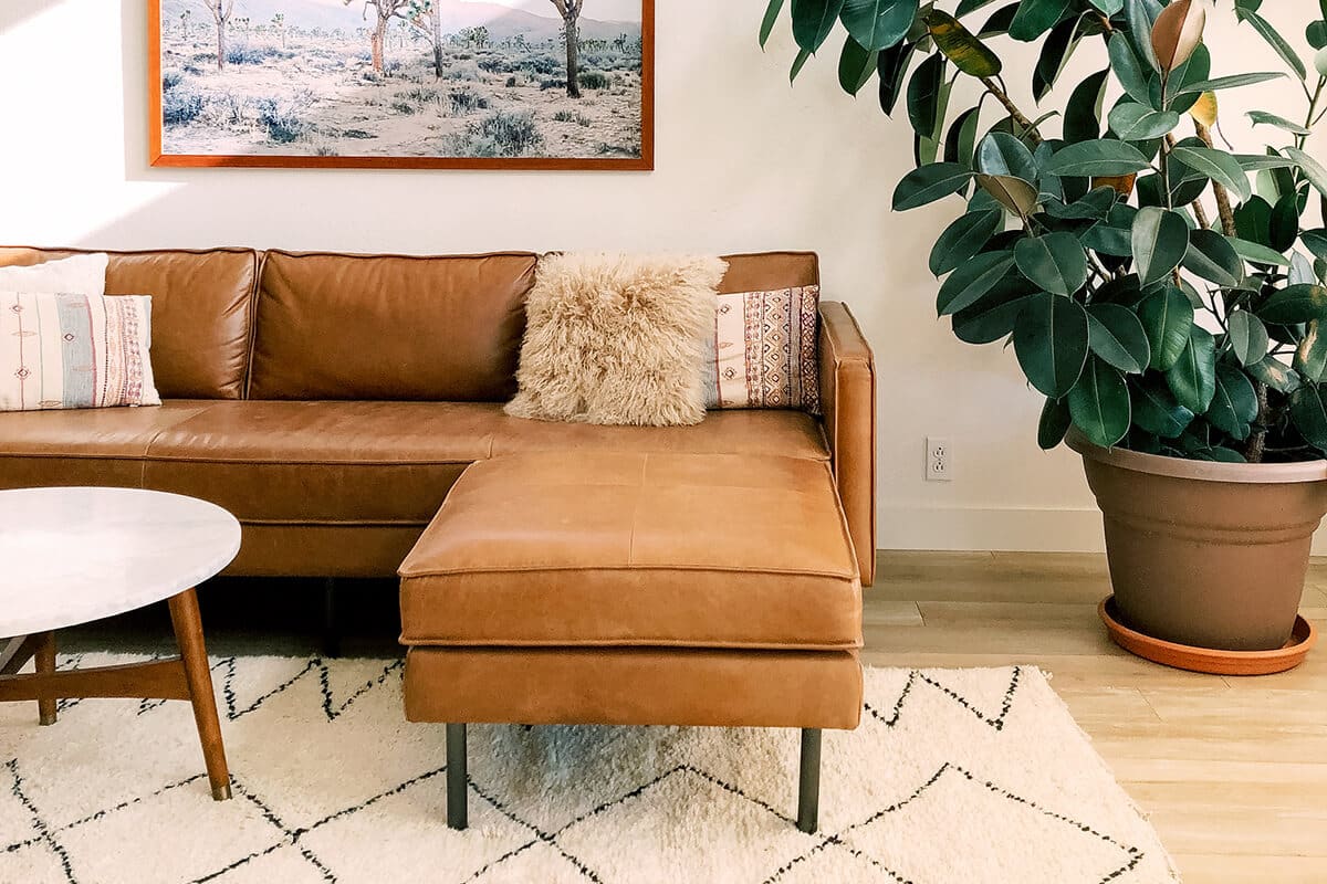 brand new apartments in colorado springs